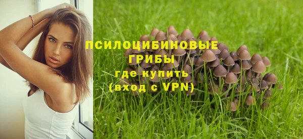 кокаин премиум Горнозаводск