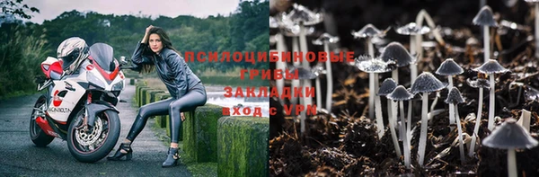 мяу мяу кристалл Горно-Алтайск