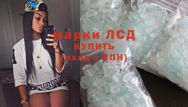 сатива Вязьма