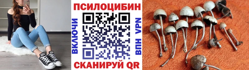 Купить закладки  Михайловск  Псилоцибиновые грибы Psilocybine cubensis 